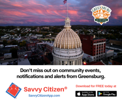 Savvy Citizen