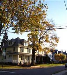 Photo of exterior of house in residential neighborhood taken from across the street - foliage from large tree hangs above the hous